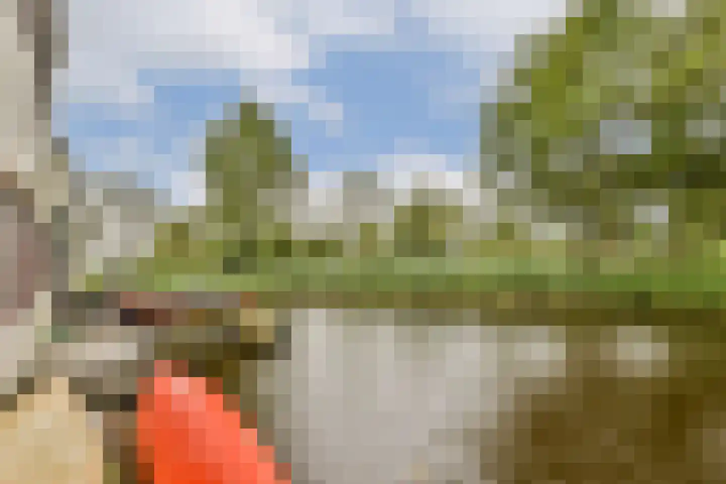 Hellegatspolder 6 Sassenheim thumbnail 12