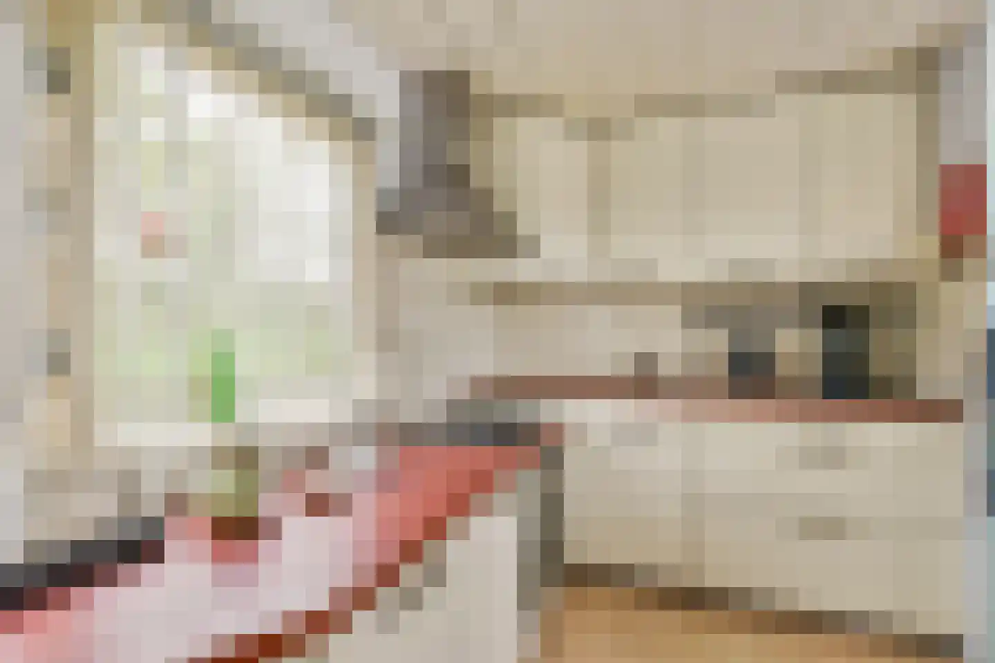 Hellegatspolder 6 Sassenheim thumbnail 8