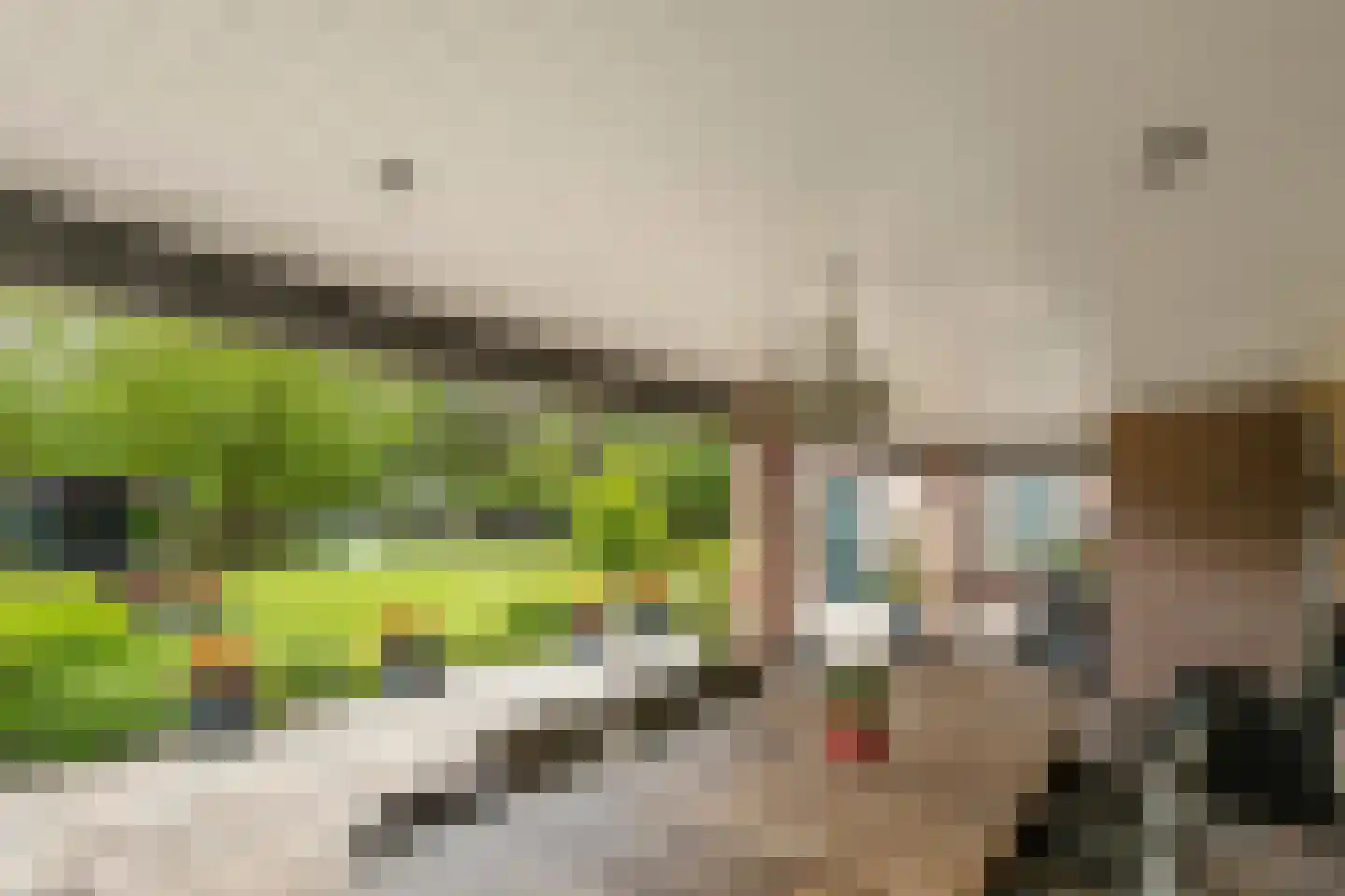 Hellegatweg 25 Rijsbergen thumbnail 31