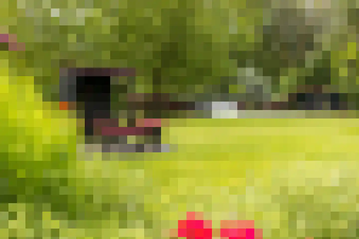 Hellegatweg 25 Rijsbergen thumbnail 32