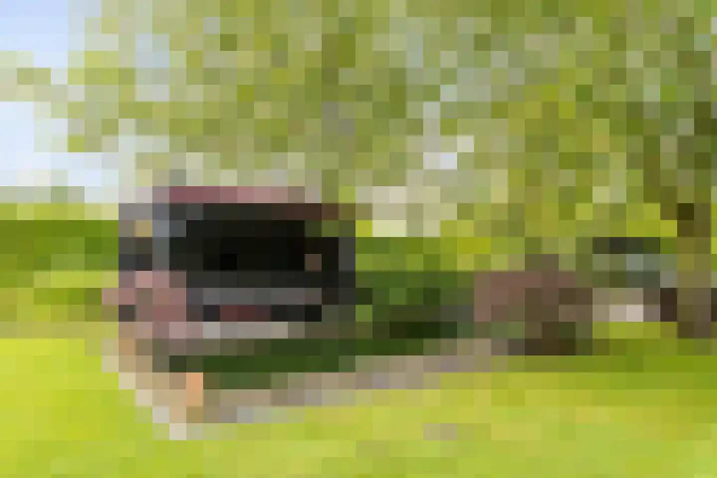 Hellegatweg 25 Rijsbergen thumbnail 34