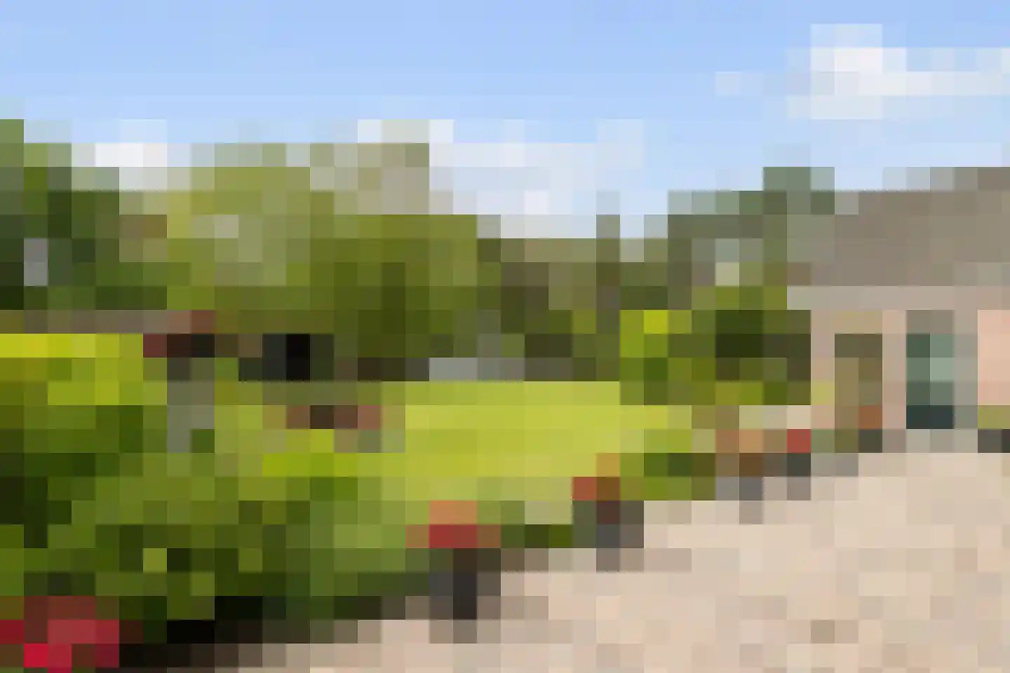 Hellegatweg 25 Rijsbergen thumbnail 35
