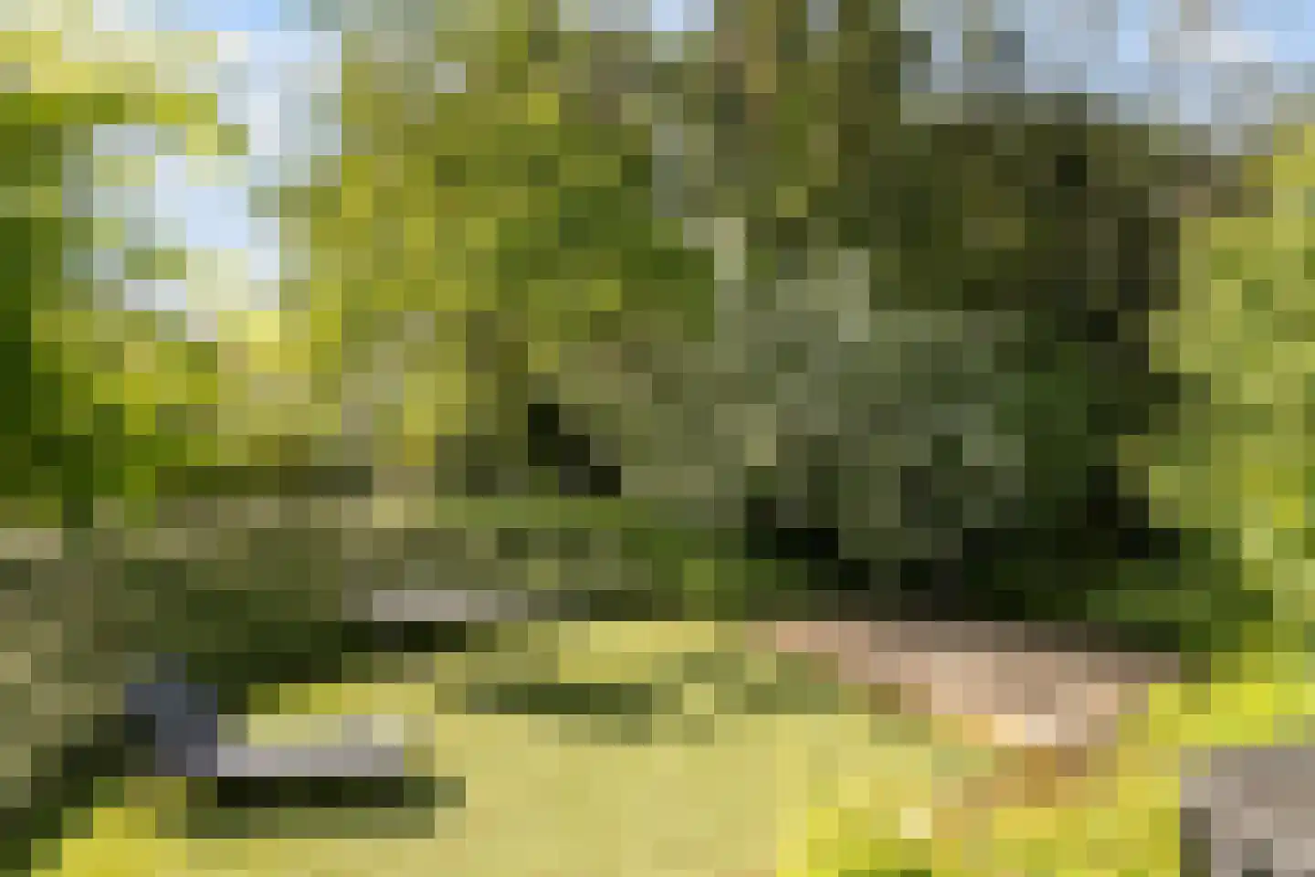 Hellegatweg 25 Rijsbergen thumbnail 40