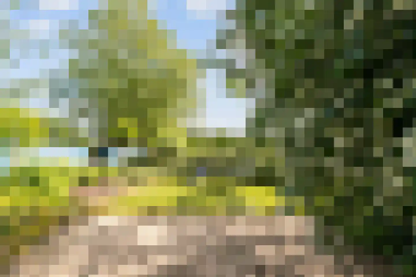 Hellegatweg 25 Rijsbergen thumbnail 41