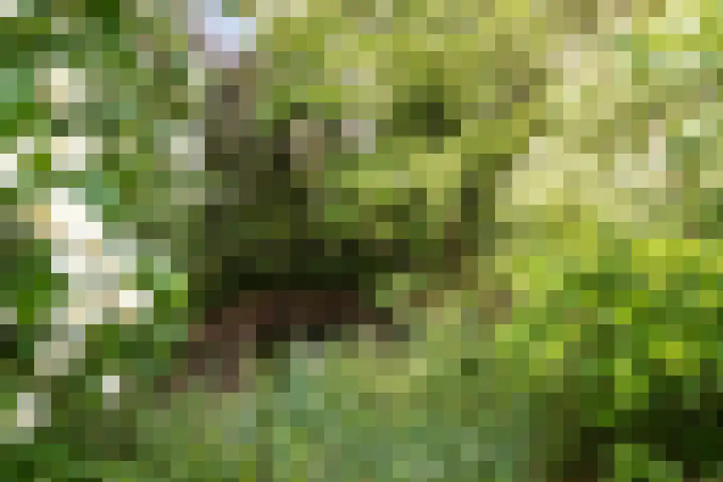 Hellegatweg 25 Rijsbergen thumbnail 42