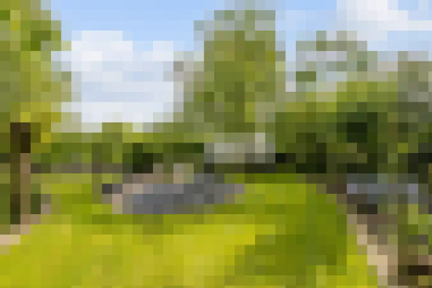 Hellegatweg 25 Rijsbergen thumbnail 43