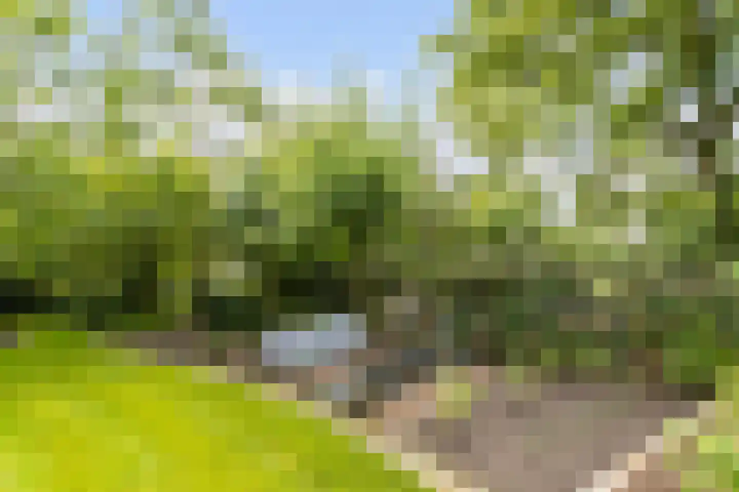 Hellegatweg 25 Rijsbergen thumbnail 44