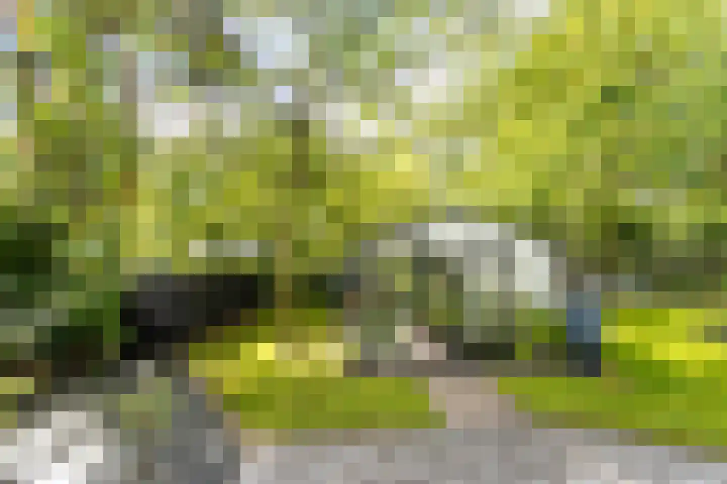 Hellegatweg 25 Rijsbergen thumbnail 46