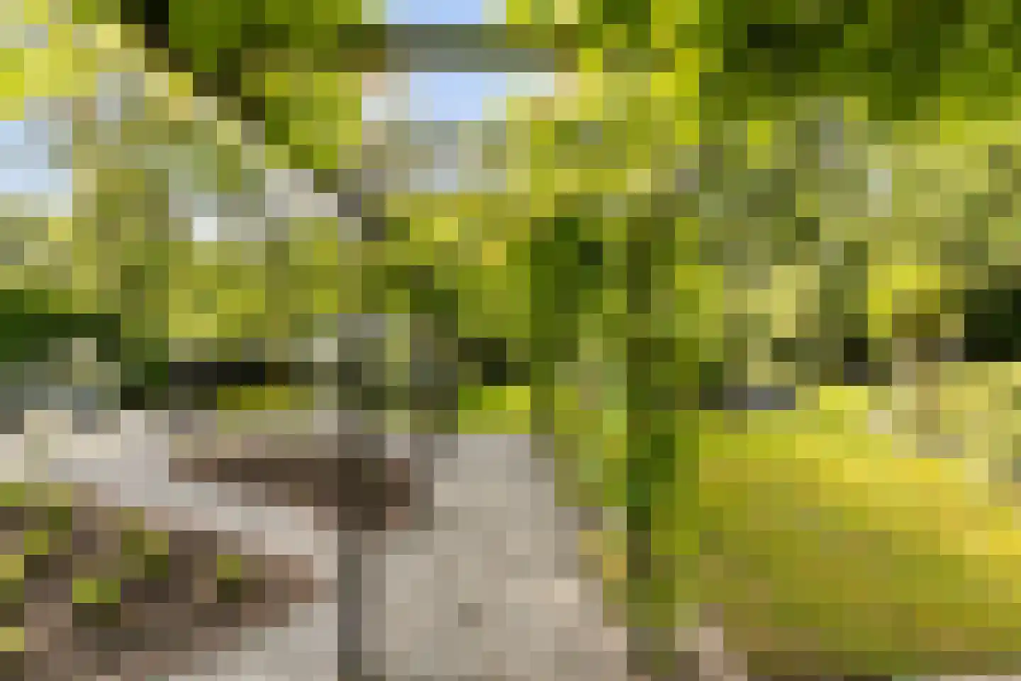 Hellegatweg 25 Rijsbergen thumbnail 47