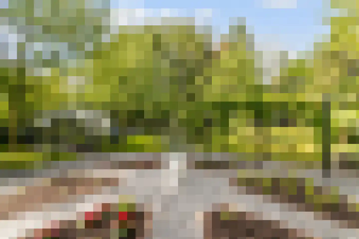 Hellegatweg 25 Rijsbergen thumbnail 48