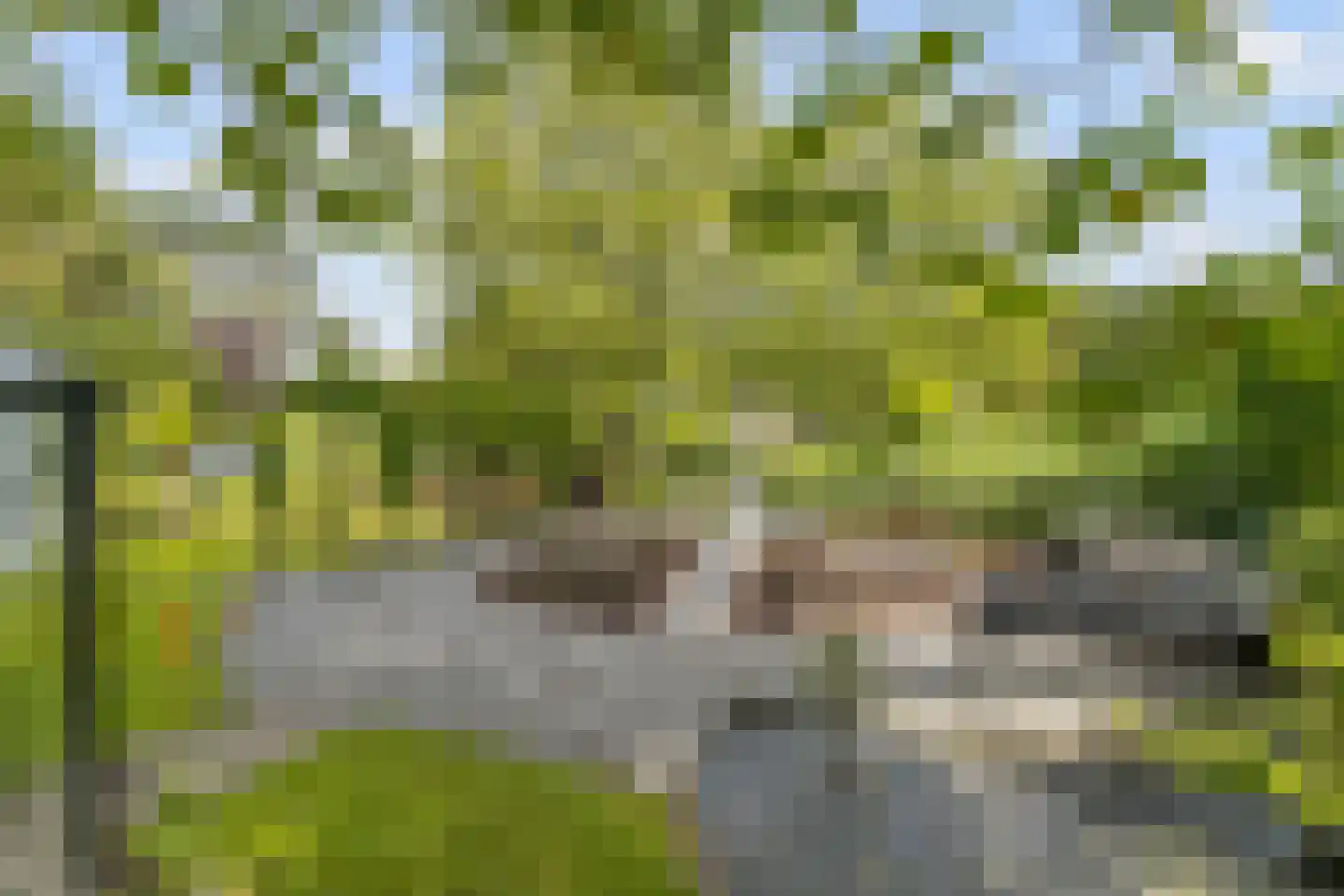 Hellegatweg 25 Rijsbergen thumbnail 49