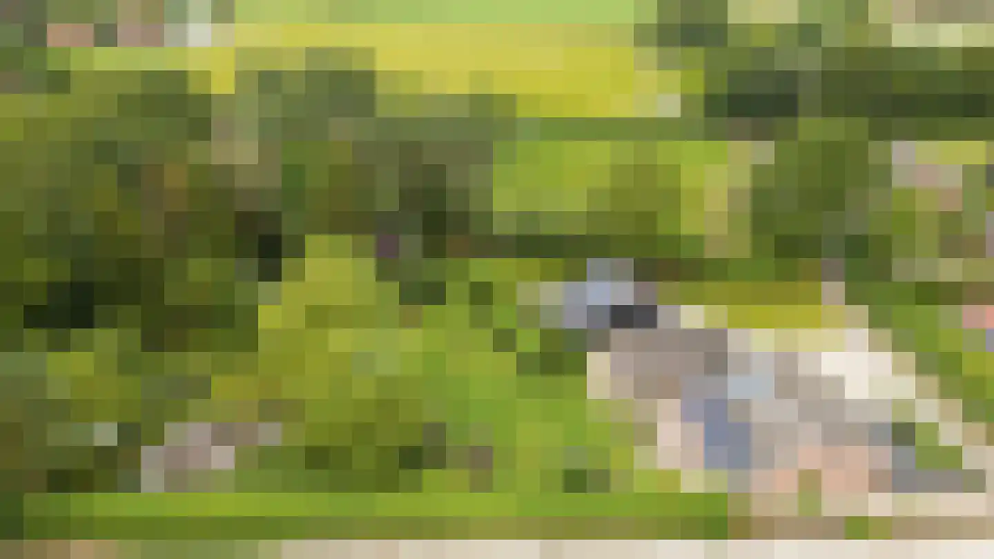 Hellegatweg 25 Rijsbergen thumbnail 52