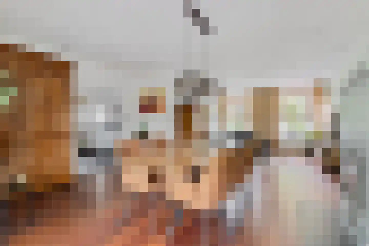 Hellegatweg 25 Rijsbergen thumbnail 8
