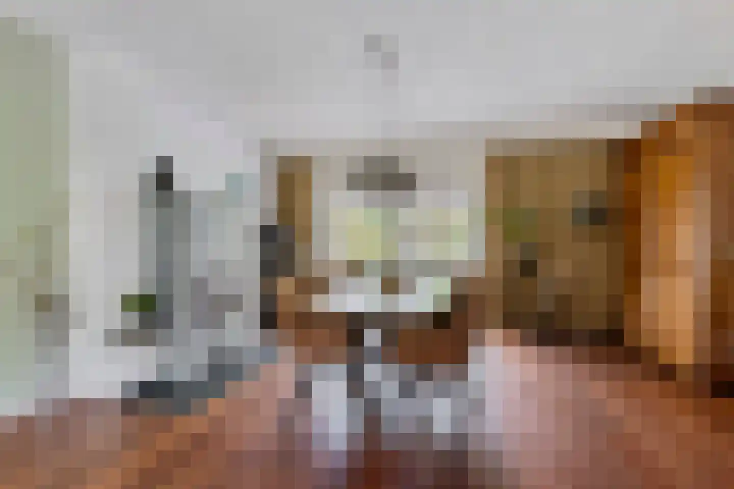 Hellegatweg 25 Rijsbergen thumbnail 9