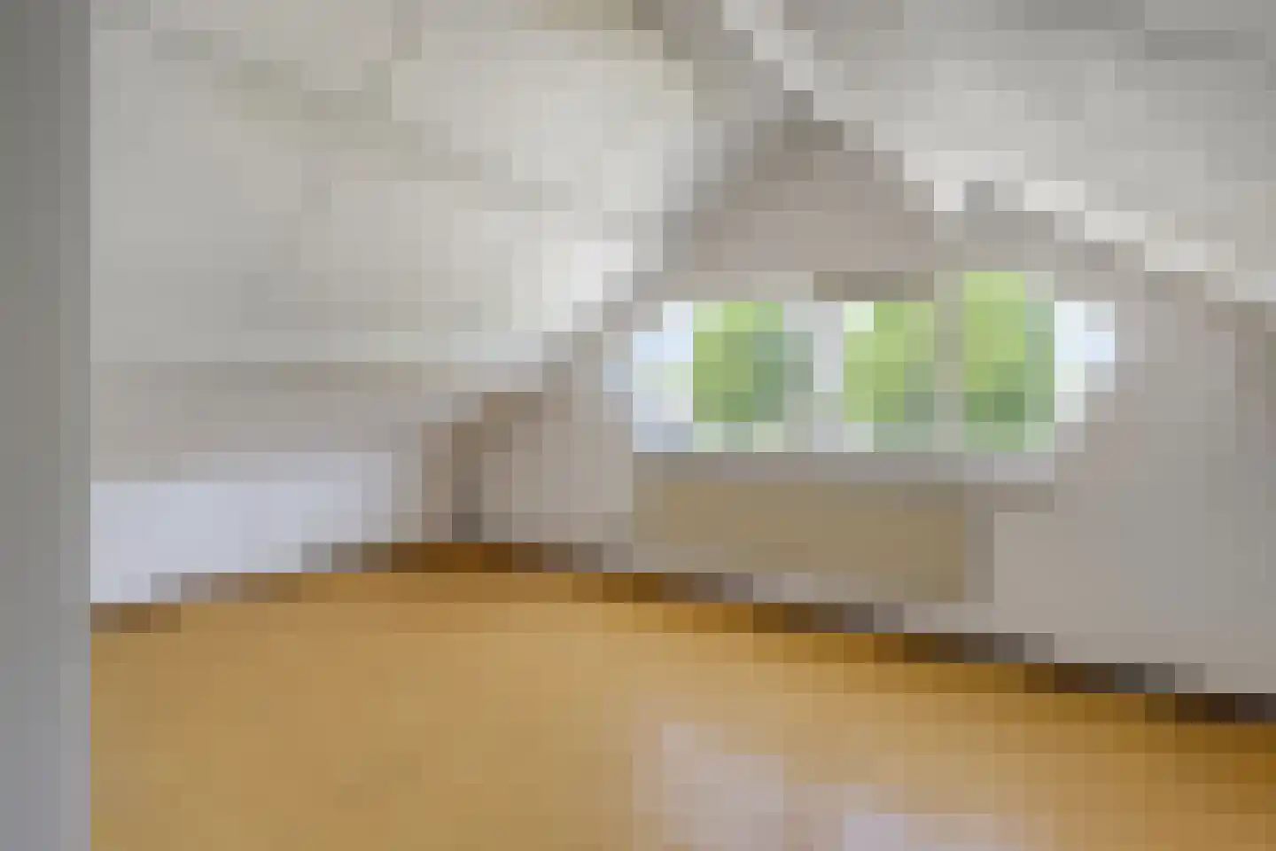 Hellehoek 61 Zwartewaal thumbnail 21