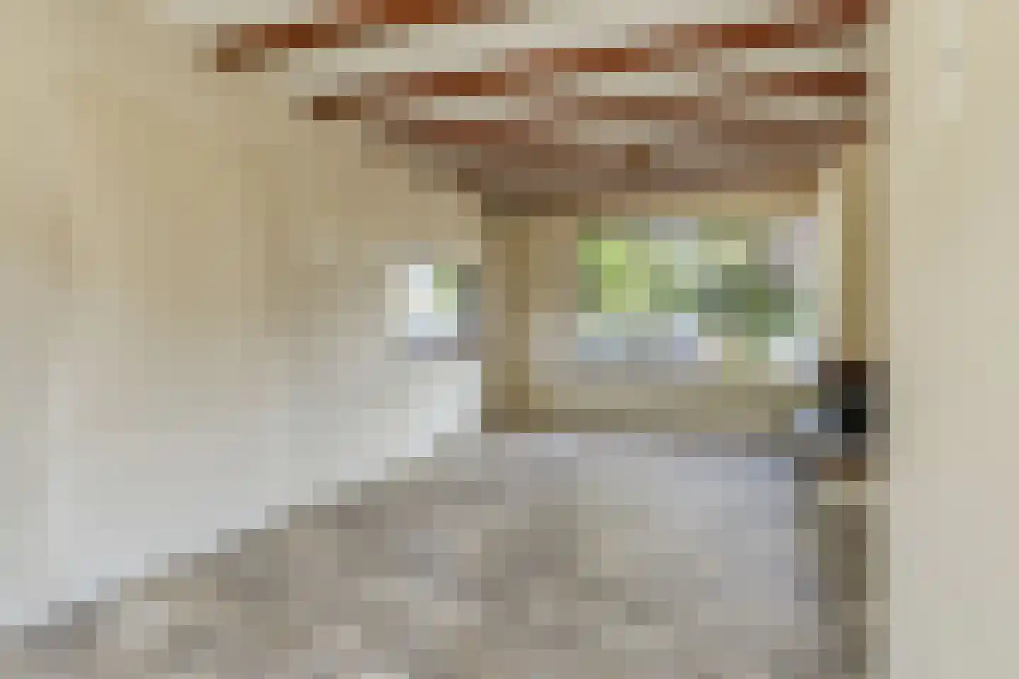 Hellehoek 61 Zwartewaal thumbnail 6
