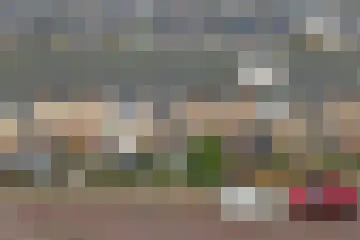 Hellehoek 64 Zwartewaal thumbnail 30