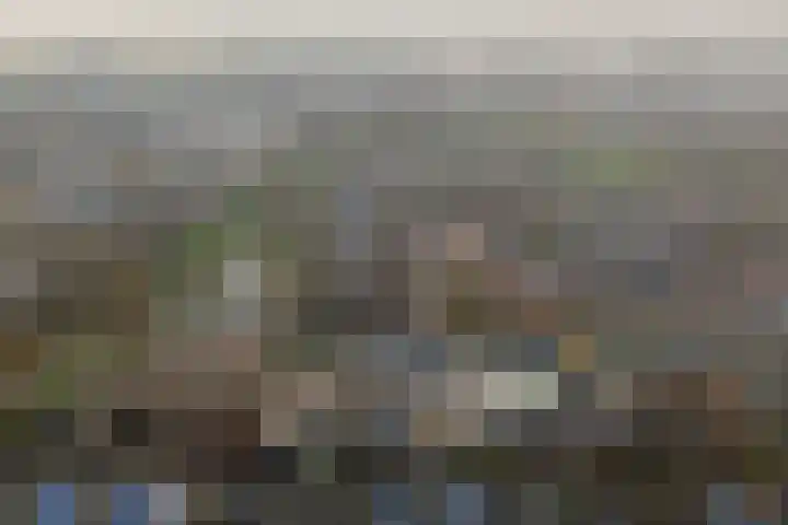 Hellehoek 64 Zwartewaal thumbnail 31