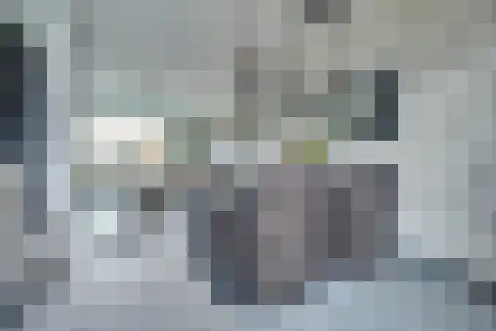 Hellehoek 64 Zwartewaal thumbnail 9