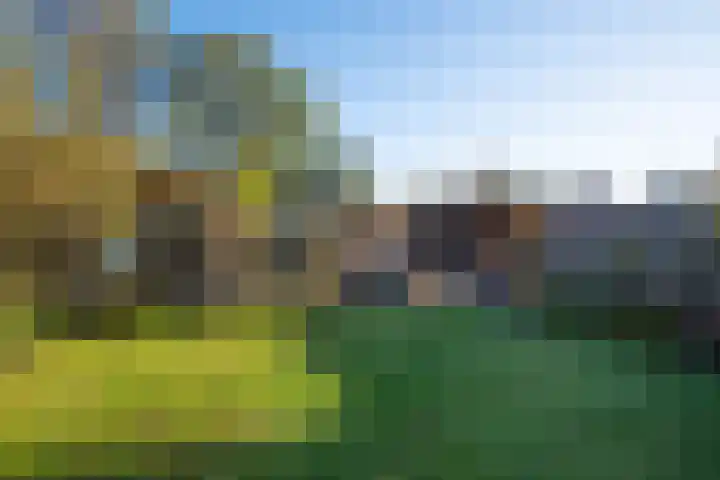 Hellemastraat 18 Obdam thumbnail 48