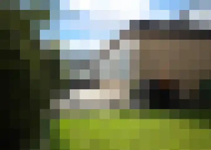 Hellemastraat 6 Obdam thumbnail 21