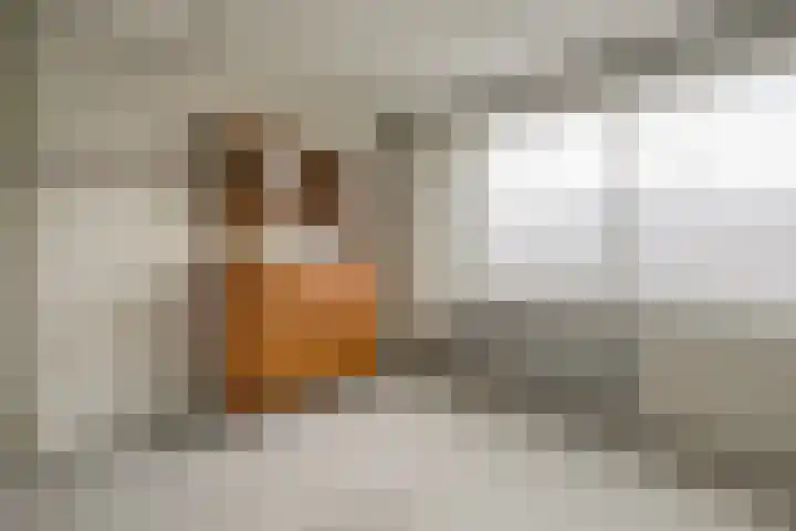 Hellemastraat 7 Obdam thumbnail 31