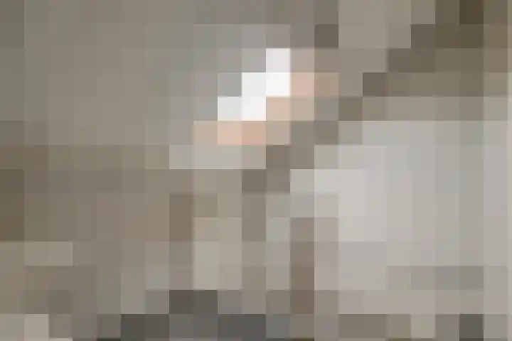 Hellemastraat 7 Obdam thumbnail 33