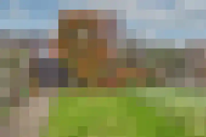 Hellemastraat 7 Obdam thumbnail 4