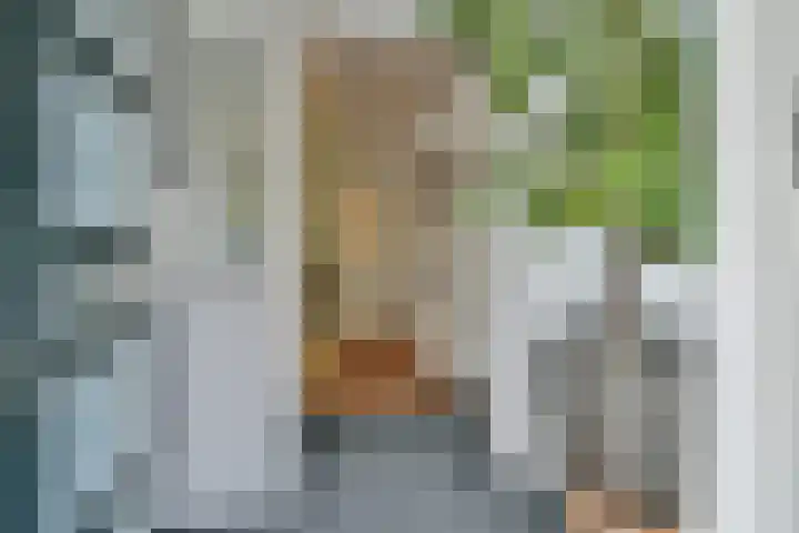 Hellemeerstraat 19 Vijfhuizen thumbnail 5