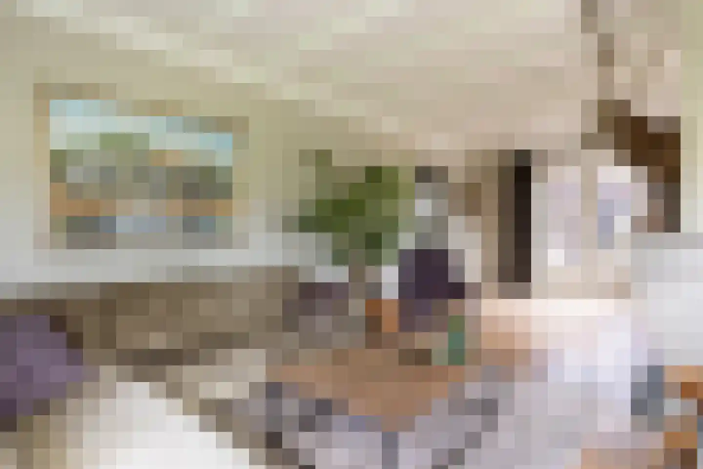 Hellemonsdreef 8 Rucphen thumbnail 13