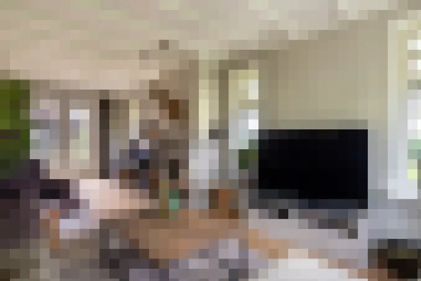 Hellemonsdreef 8 Rucphen thumbnail 14