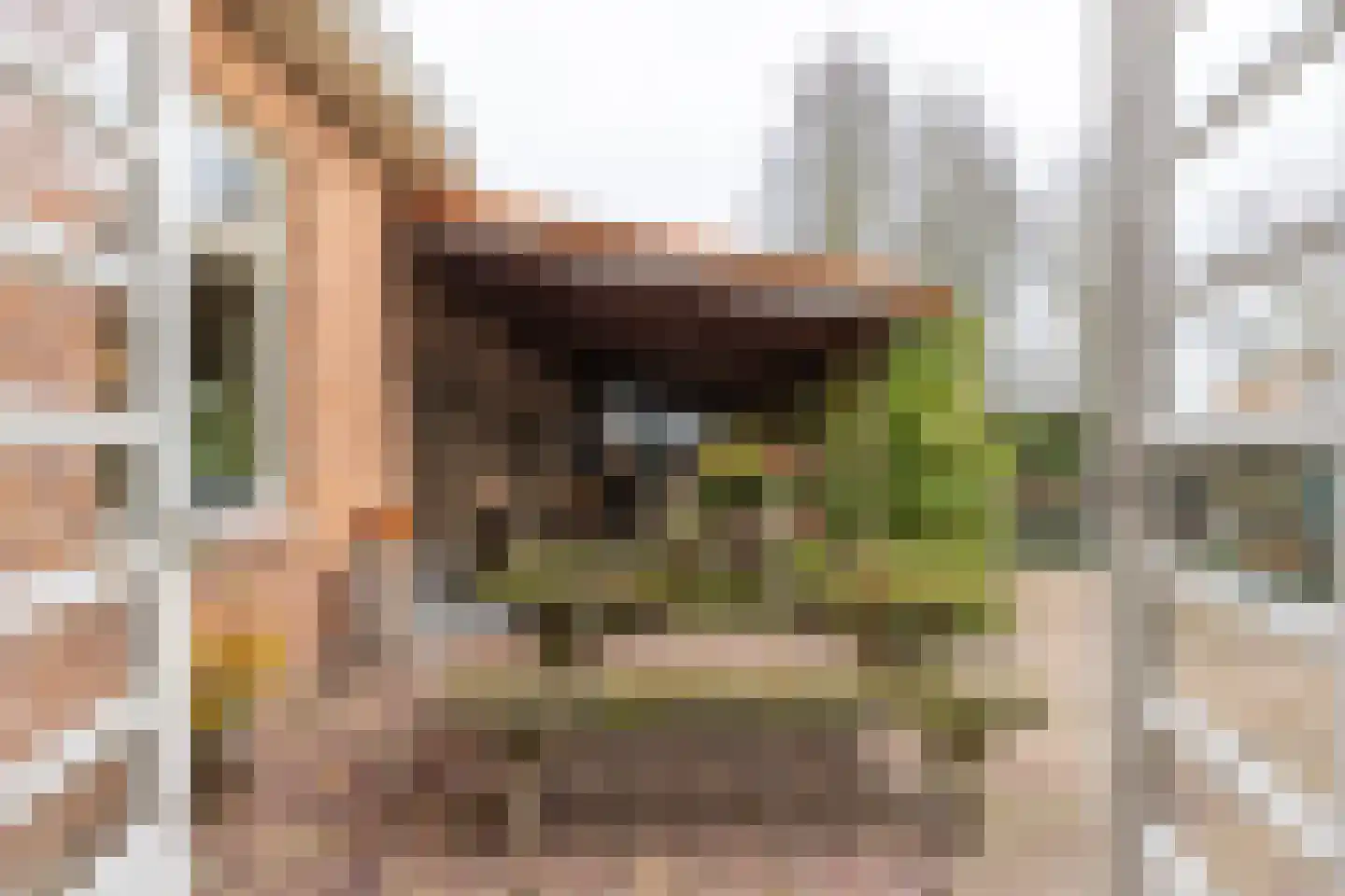 Hellemonsdreef 8 Rucphen thumbnail 16