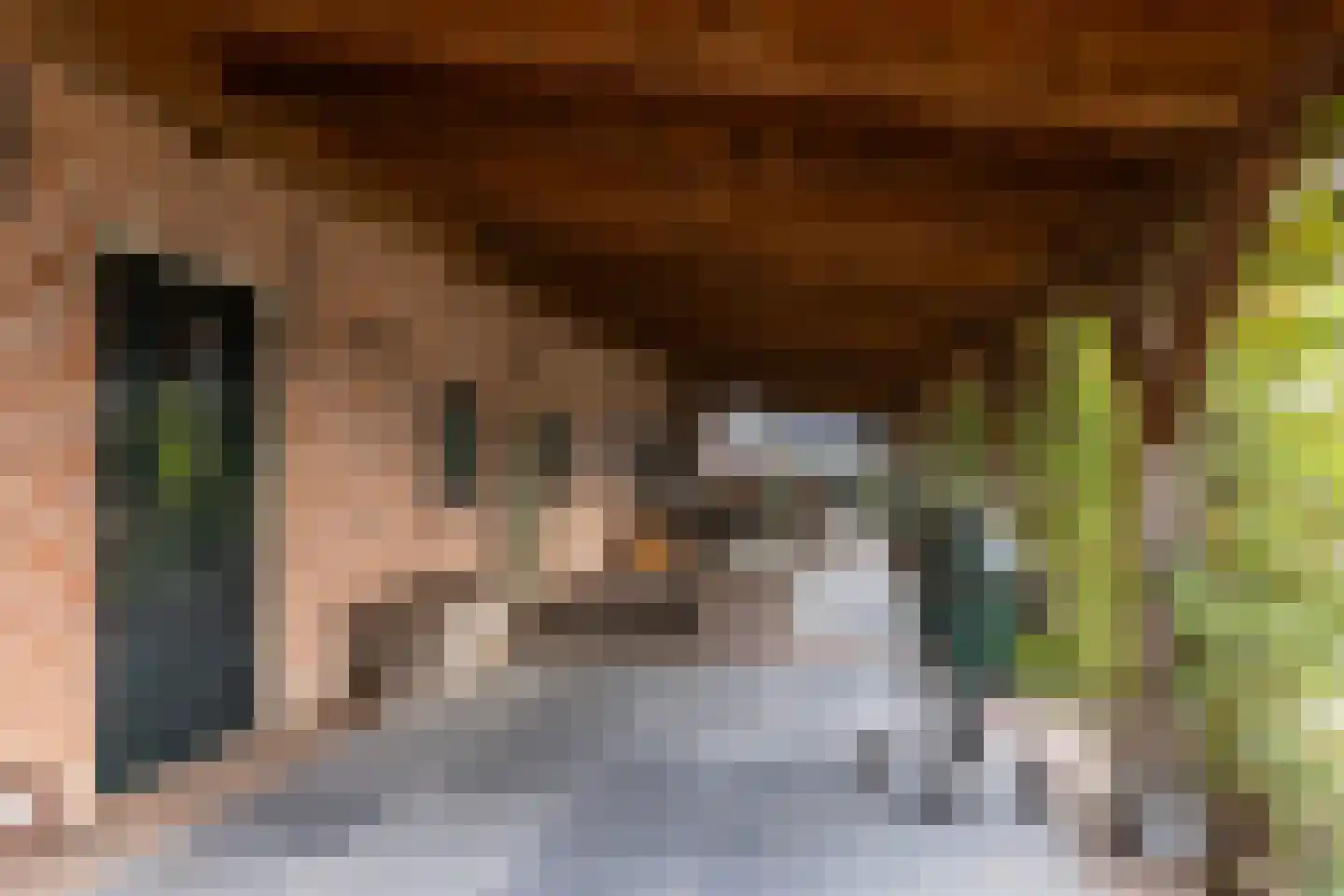 Hellemonsdreef 8 Rucphen thumbnail 17