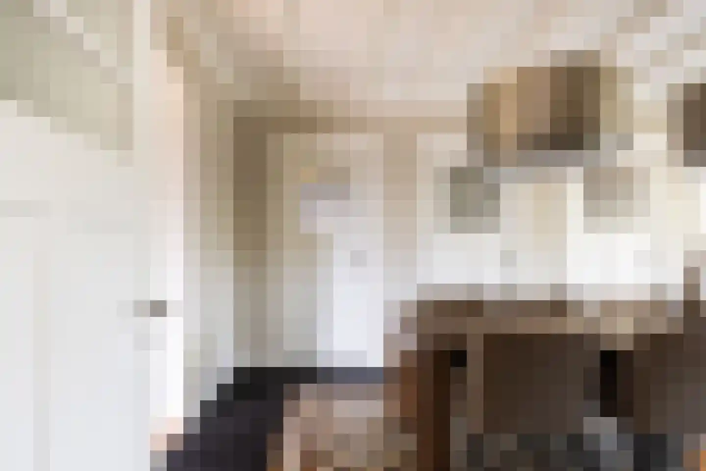 Hellemonsdreef 8 Rucphen thumbnail 20