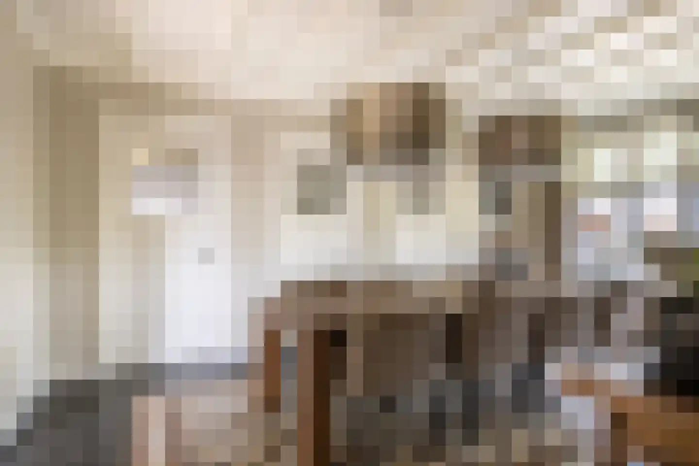 Hellemonsdreef 8 Rucphen thumbnail 21