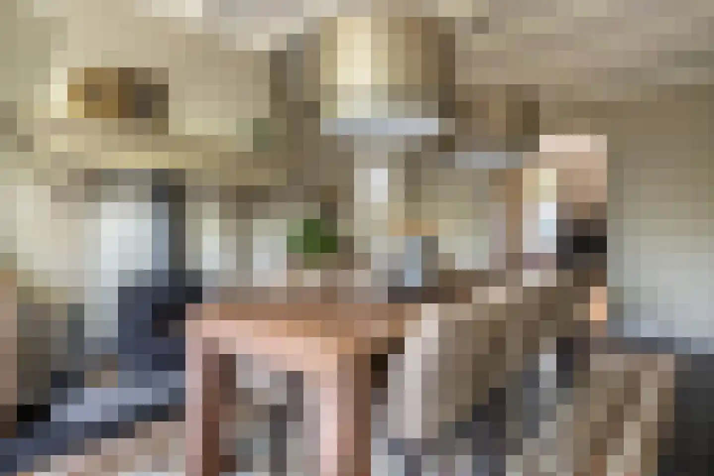 Hellemonsdreef 8 Rucphen thumbnail 22