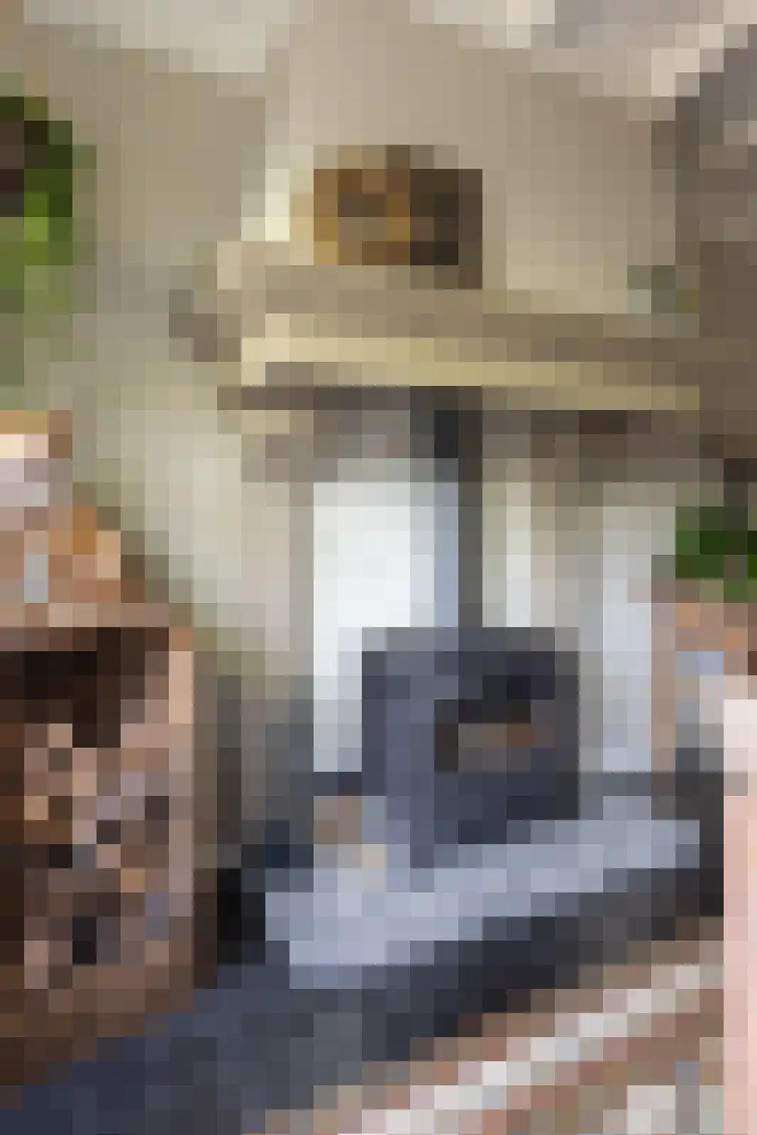 Hellemonsdreef 8 Rucphen thumbnail 23