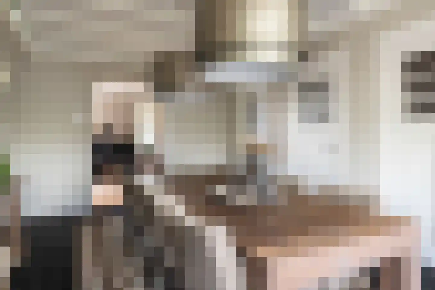 Hellemonsdreef 8 Rucphen thumbnail 24