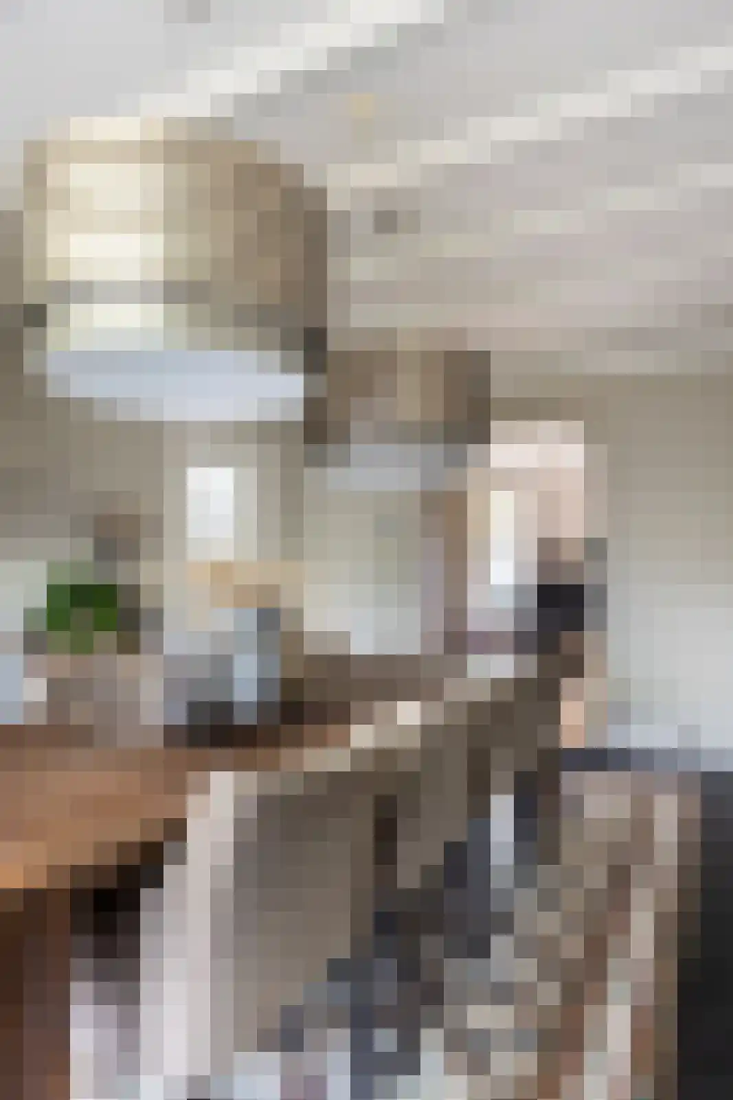 Hellemonsdreef 8 Rucphen thumbnail 25