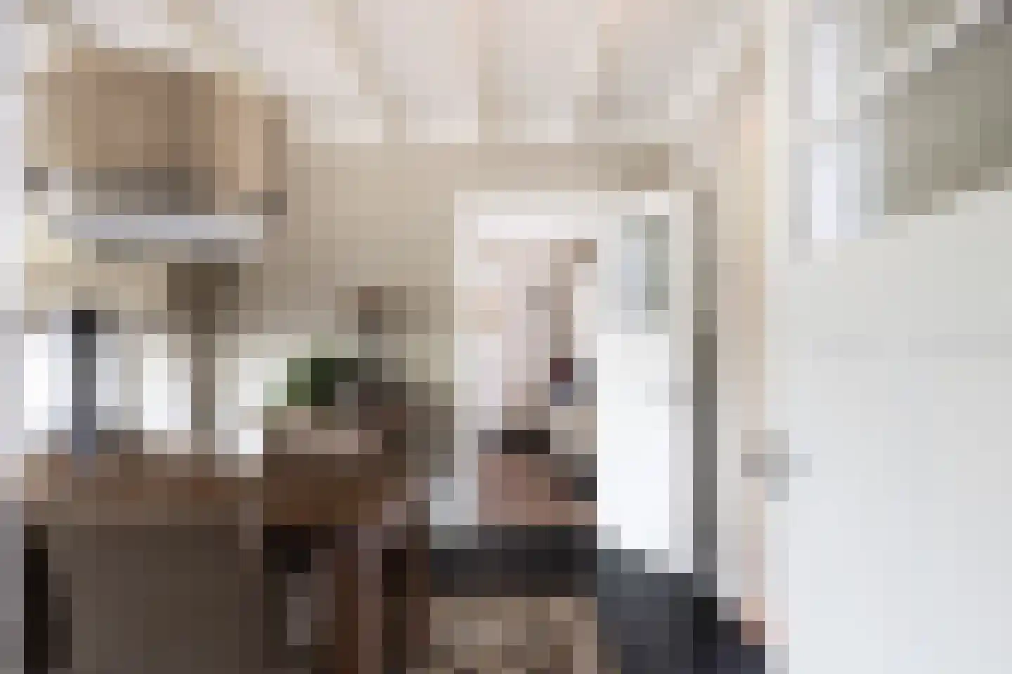 Hellemonsdreef 8 Rucphen thumbnail 28