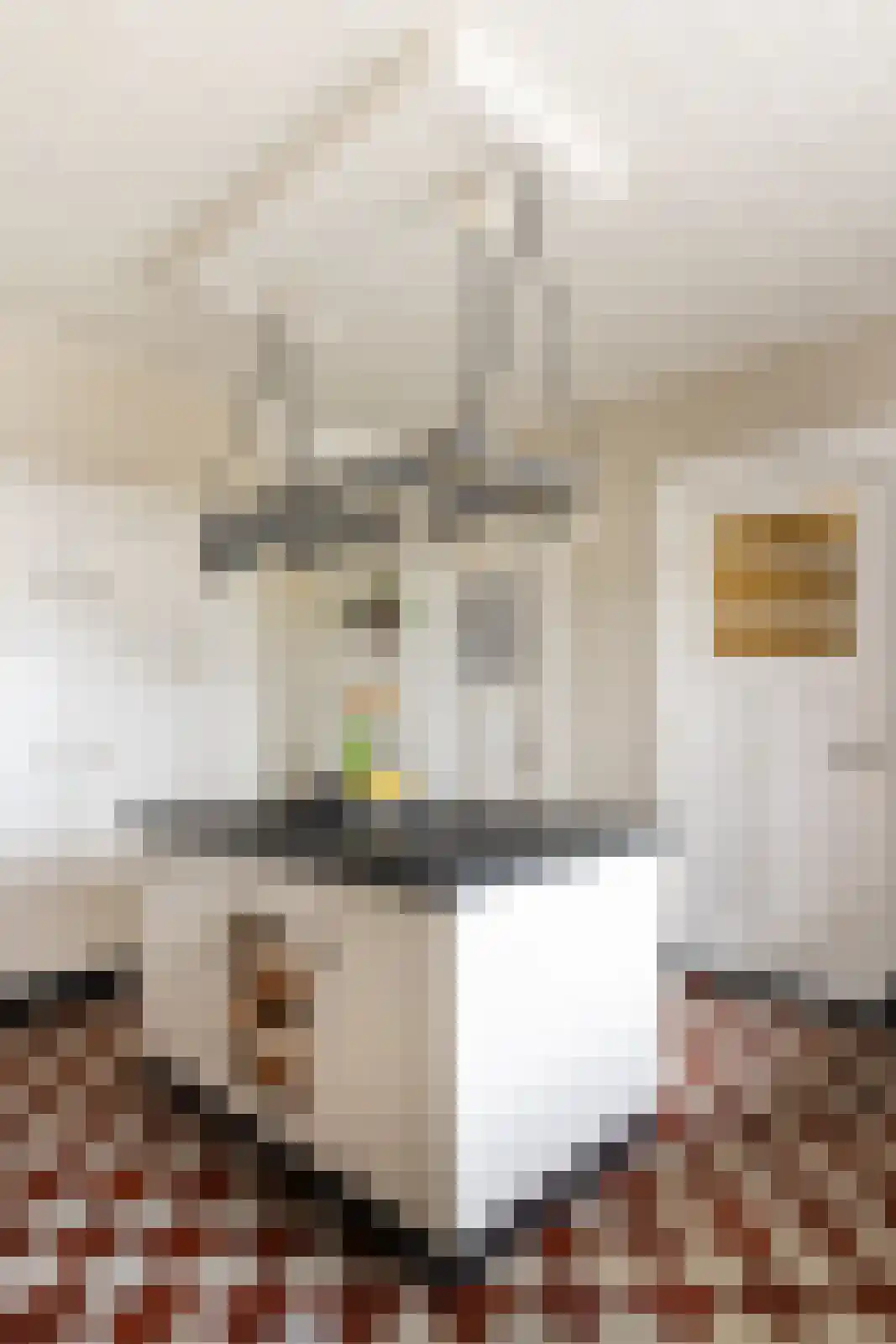 Hellemonsdreef 8 Rucphen thumbnail 30