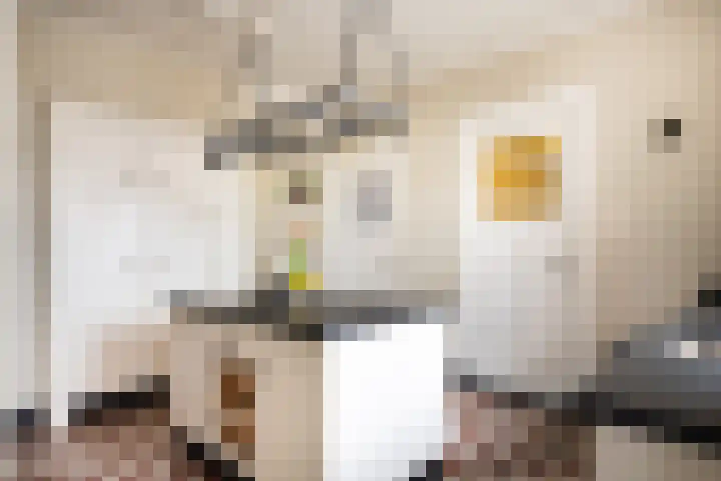 Hellemonsdreef 8 Rucphen thumbnail 31