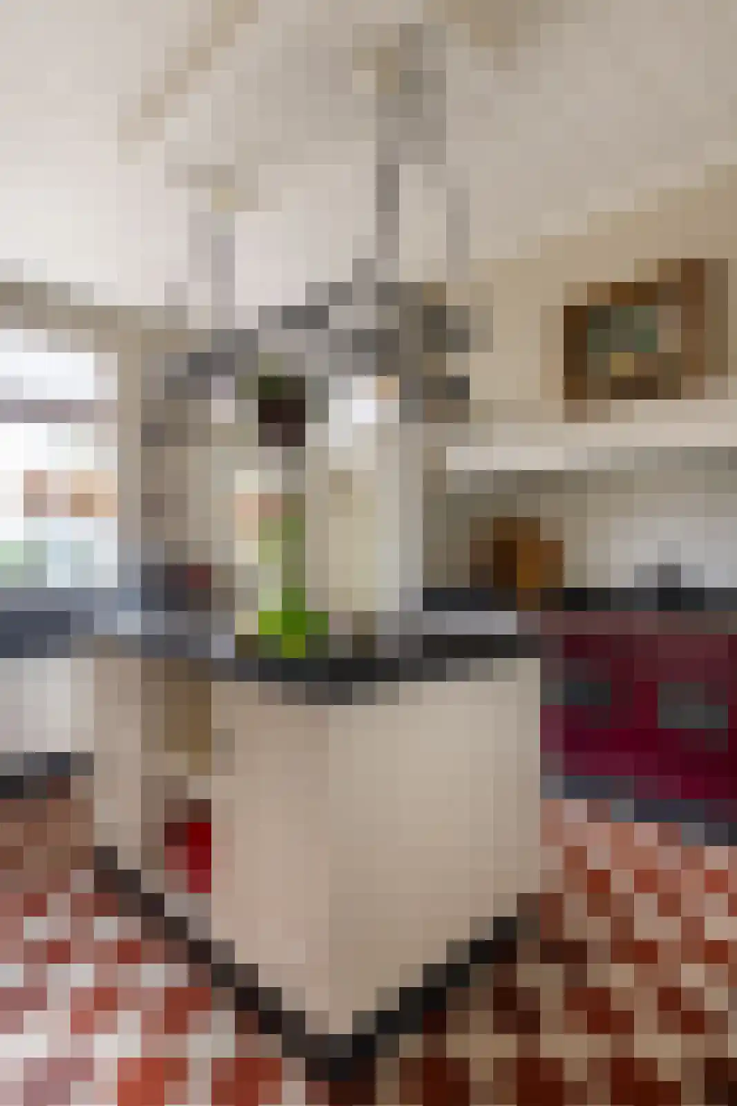Hellemonsdreef 8 Rucphen thumbnail 33