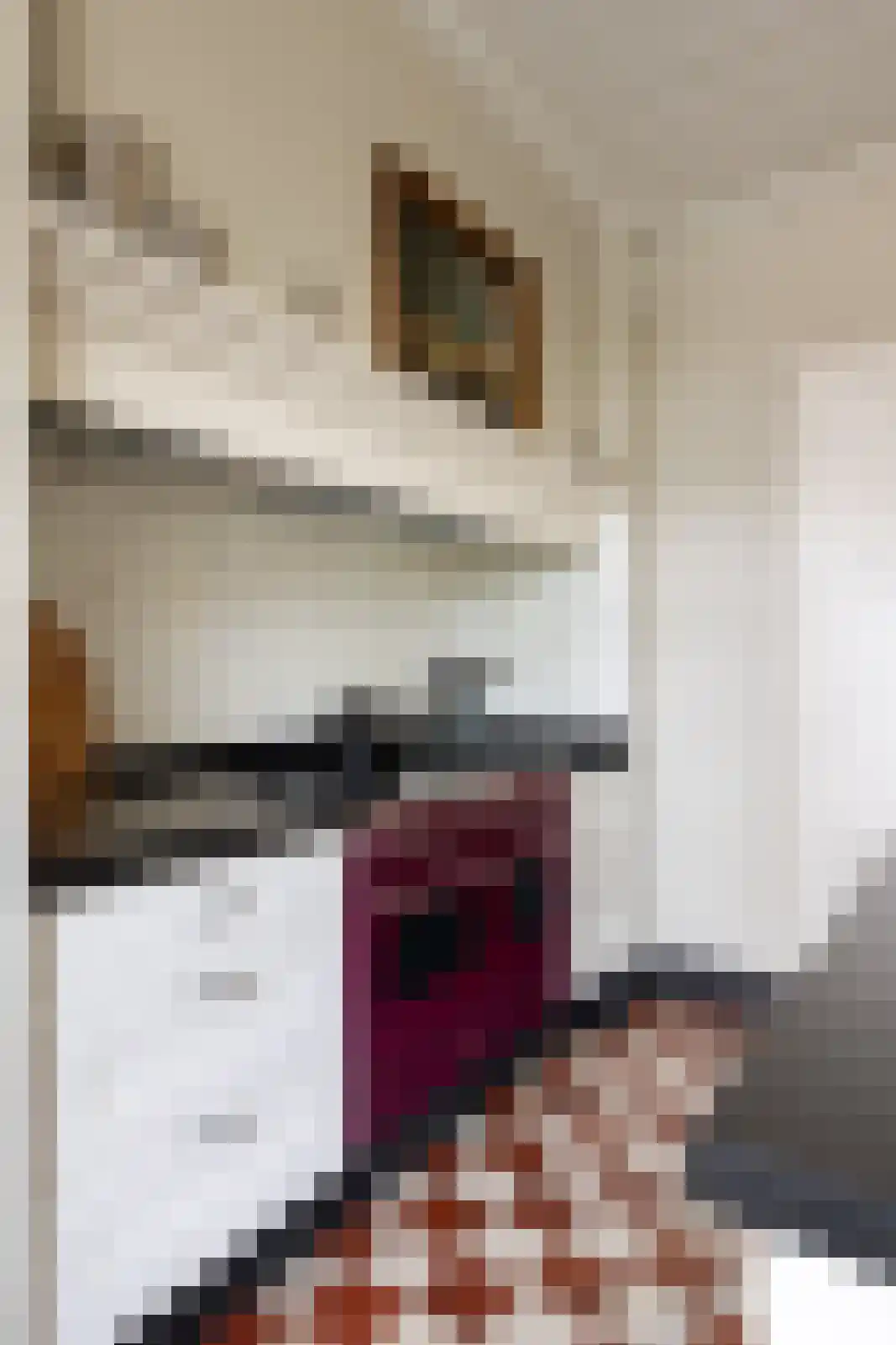 Hellemonsdreef 8 Rucphen thumbnail 36