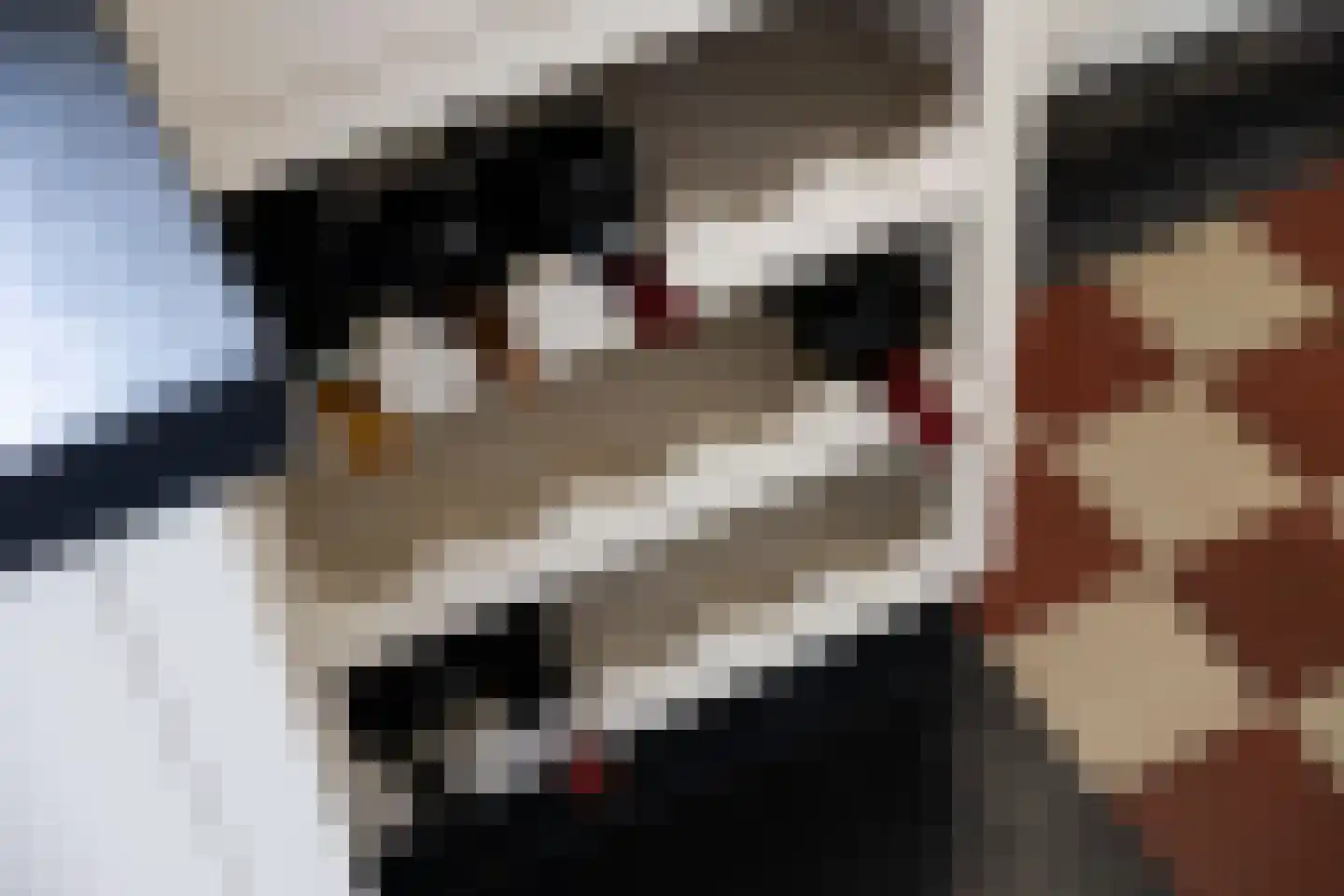 Hellemonsdreef 8 Rucphen thumbnail 39