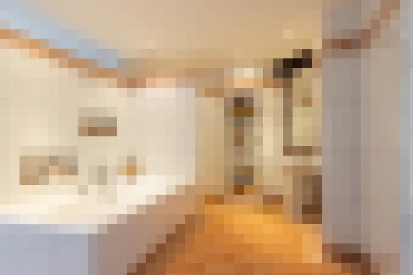 Hellemonsdreef 8 Rucphen thumbnail 45