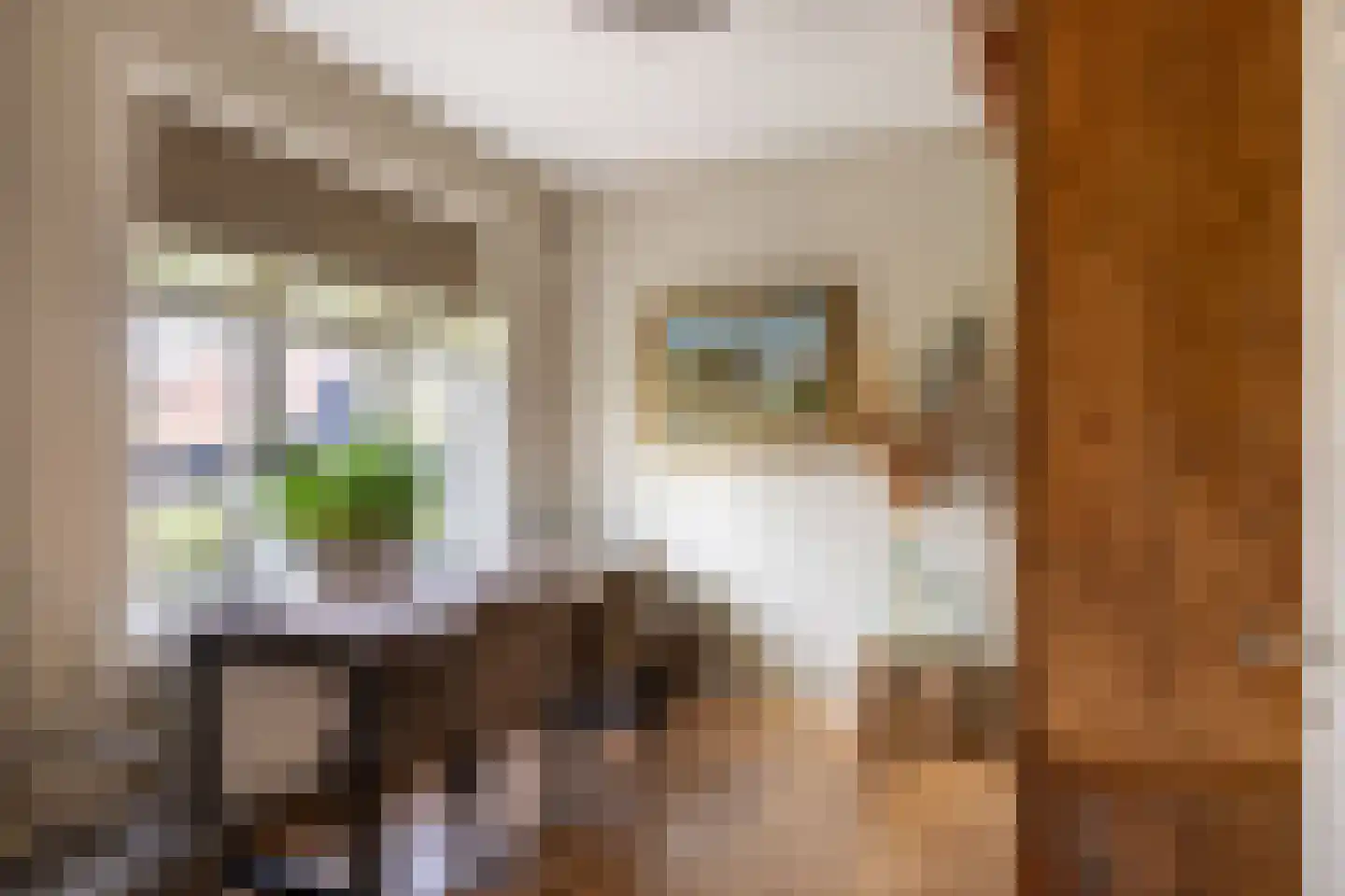 Hellemonsdreef 8 Rucphen thumbnail 52