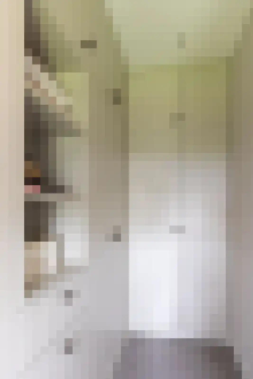 Hellemonsdreef 8 Rucphen thumbnail 59