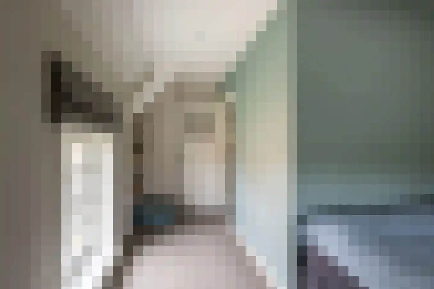 Hellemonsdreef 8 Rucphen thumbnail 64