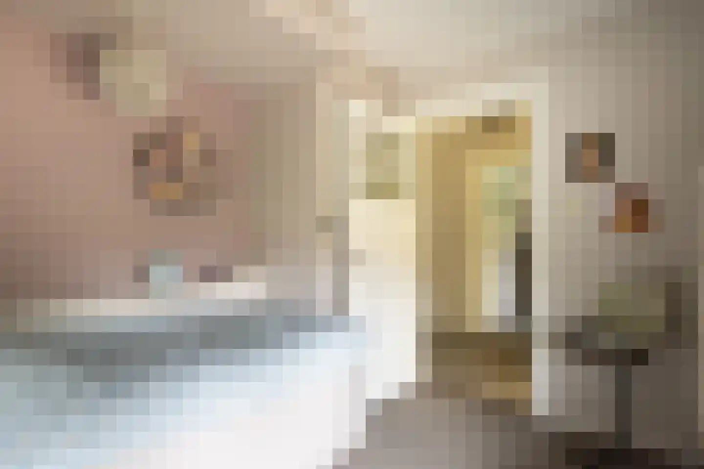Hellemonsdreef 8 Rucphen thumbnail 68